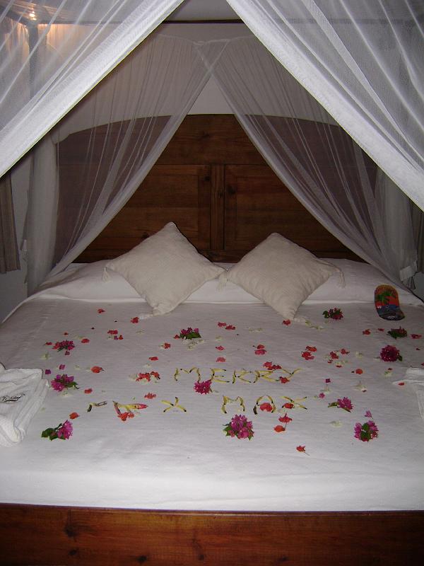 Library - 4872.jpg - Bed, Christmas day